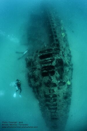 H-1 sunk color2.jpg