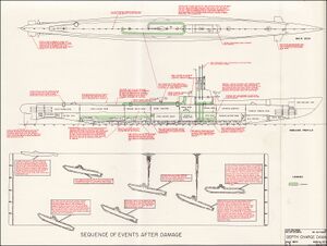 Salmon Battle Damage- US Navy Report.jpg