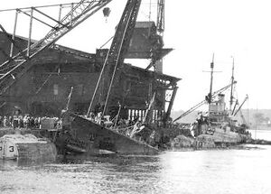 Squalus recovered 1.jpg