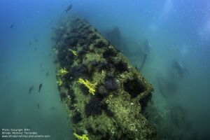 H-1 sunk color4.jpg