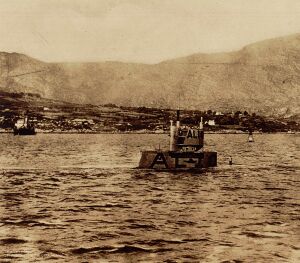 L-10 diving in Bantry Bay.jpg