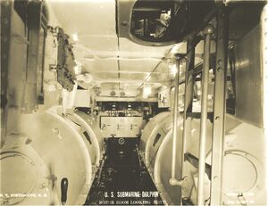 Dolphin Motor Rm-1.jpg