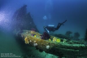 H-1 sunk color3.jpg