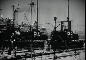 Nautilus Porpoise Tarpon Pike.JPG