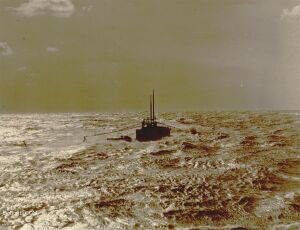 Narwhal sea trials-3.jpg