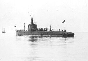 Sculpin during salvage 1.jpg