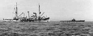 Sculpin during salvage 3.jpg