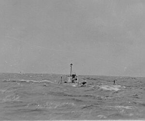 R-17 at sea rough water.jpg