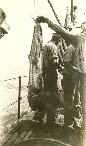 R-7 fishing2.jpg