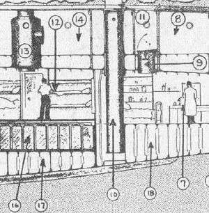 Wilkins Nautilus drawing 3.jpg