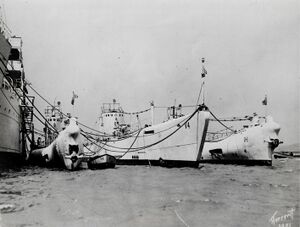 Bass Argonaut Barracuda March 30 1930.jpg
